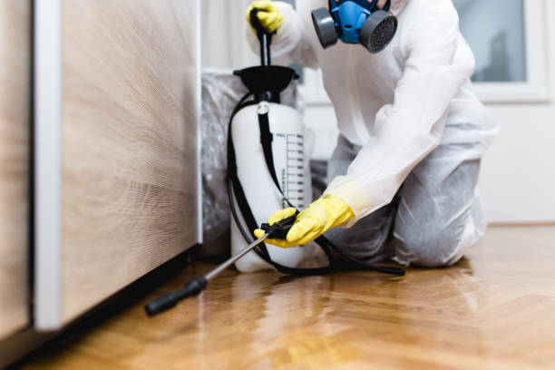 Best Pest Removal Services  in Tell City, IN