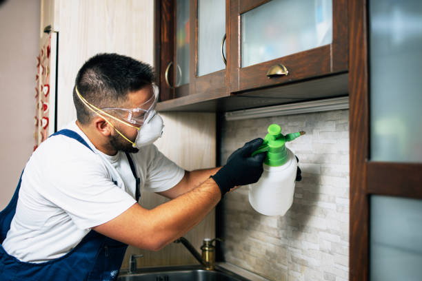 Best Termite Control Services  in Tell City, IN