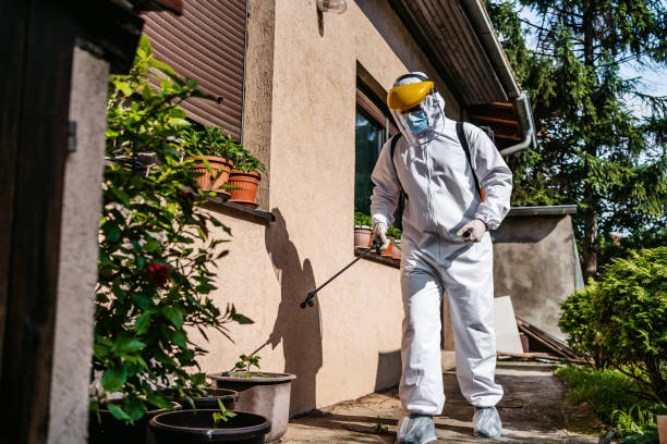 Best Affordable Pest Control Services  in Tell City, IN