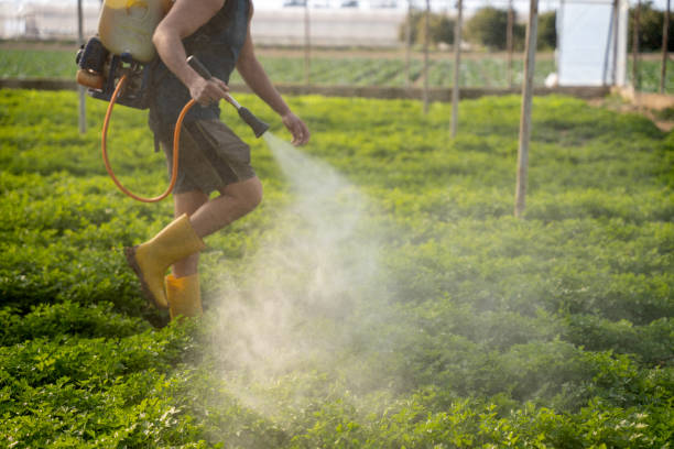 Best Pest Inspection Near Me  in Tell City, IN